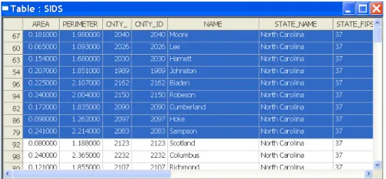Figure 3.3: Table with selected rows promoted.