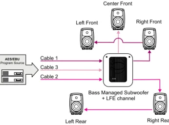Figure 28. Connecting a digital AES/EBU Single-Wire 5.1 chan- chan-nel surround system
