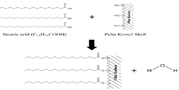 Figure 5. Schematic illustration of the reaction between stearic acid and PKS. 