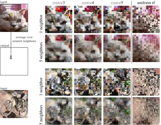 Figure 1: Even though they have large receptive fields, convnet features carry local information at a finer scale