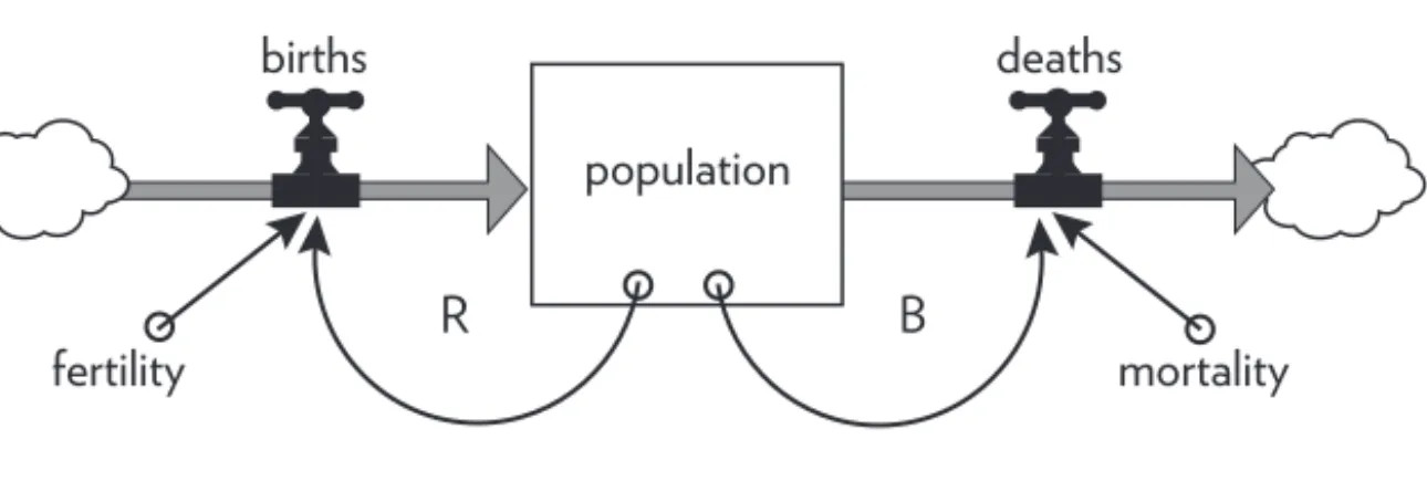 Figure 21. Population governed by a reinforcing loop of births and a balancing loop of deaths.