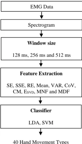 Fig. 1 - Flow diagram of the pattern recognition architecture. 