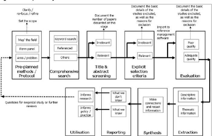 Figure 9:  Steps in a systematic literature review 