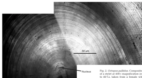 Table 1. Octopus pallidus. Summary of research line catch and composition