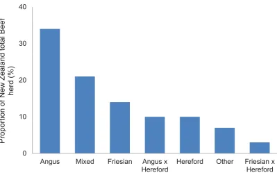 Figure 1: Proportions of different breeds making up the total New Zealand beef herd over the 2012-2013 season, numbers include stock kept for breeding and finishing stock (Beef + Lamb NZ, 2015a)