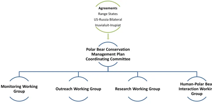 Figure 8. Structure of the Polar Bear Recovery Implementation Team.