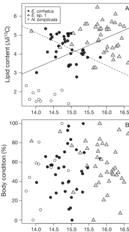 Fig. 4. Eptatretus cirrhatuson (A) lipid content in muscles (biniplicata, Eptatretus sp