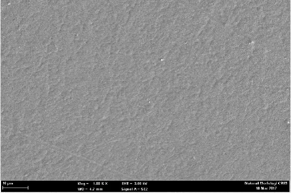 Fig 1 - FESEM micrograph shows surface morphology of P(VDF-TrFE) film of piezoelectric sensor 
