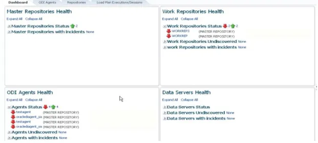 Figure 6 – Management Pack for Oracle Data Integrator Homepage 