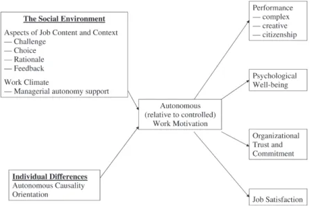 Figure 2 summarizes the main elements of the SDT model of work motivation. These relations have been supported, though to differing degrees, by research in either organizations or other settings