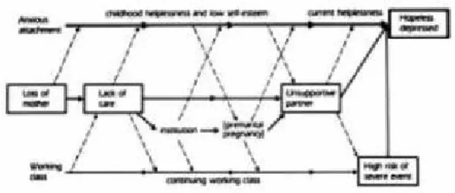 FIGURE 3 Female Pathways to Depression. Adapted from Harris et al.  