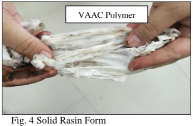Fig. 4 Solid Rasin Form  