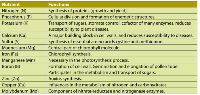 Table 2: Effects of the nutrients and the potassium source on the yield quality.  