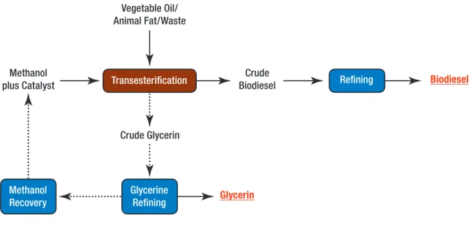 Figure 1. Basic Transesterification Process
