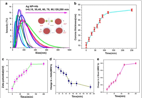 Fig. 7 a Dynamic light scattering spectra of Ag NP-Hb corona under different time (0 to 250 min) of the corona, inset shows the schematic diagram of the time dependent corona, Time variation of Ag–Hb corona results: b Variation of Hb corona thickness with 