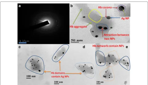 Fig. 9 a SAED pattern of Hb-Ag corona (Amorphous in nature due to Hb and few bright spot due to Ag NPs inside the protein matrix), HR-TEM images Hb-Ag complex: b Aggregation of Hb after interaction and corona formation with Ag NPs, inset is the enlarge por