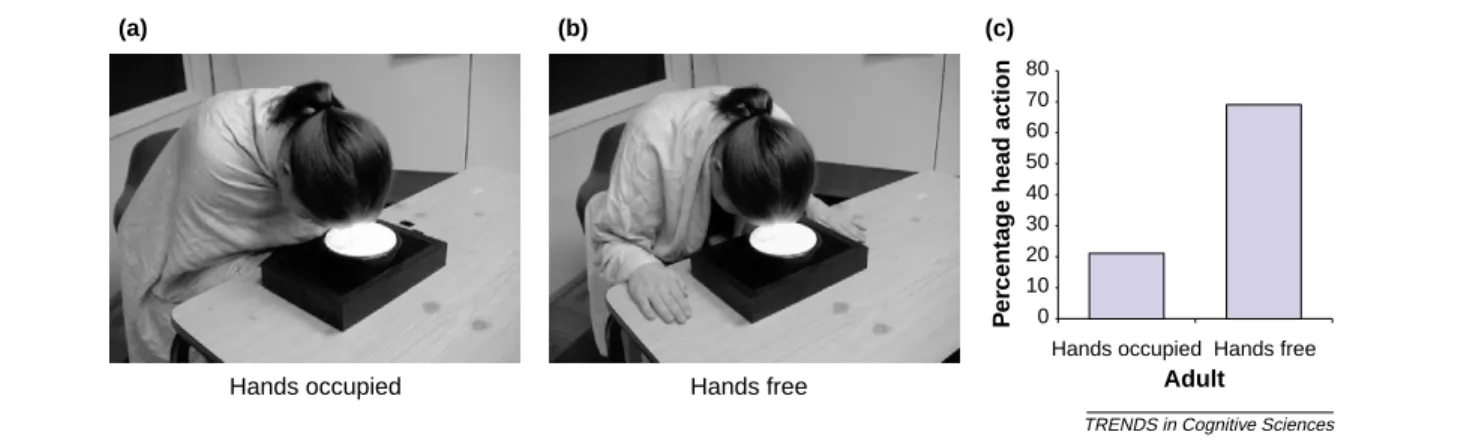 Figure I. The behaviours shown to 14-month-old infants were: (a) an adult pressing a button with her forehead while holding a shawl around her using both hands, and (b) pressing the button with her forehead when both her hands were free
