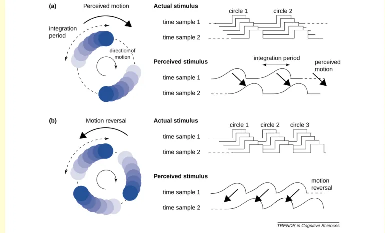 Fig. I. The wagon-wheel illusion under continuous light. An integration period implies that the appearance of an object along a particular feature dimension can be