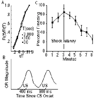 Figure 1. A. Normalized rate of responding as a function of the normalized elapsed interval, for pigeons responding on fixed interval schedules, with inter-reinforcement intervals, T, ranging from 30 to 3,000 s.