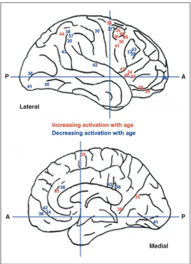 Figure 1. The development of human cortical function, as measured by contemporary imaging methods, reflects fine-tuning of a diffuse network of neuroanatomical regions [28,36,37]