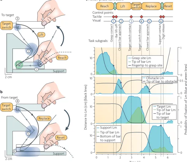 Figure is modified, with permission, from  REf. 177   (2001) Society for Neuroscience.