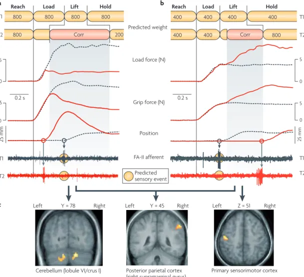 Figure 2 | corrective actions triggered by a mismatch between predicted and actual sensory events