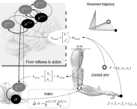 Fig. 8: A demonstration of cued-reaching movements. Lower right: motor plant, comprising  a two-jointed arm with two hidden states, each of which corresponds to the angular position  of joints