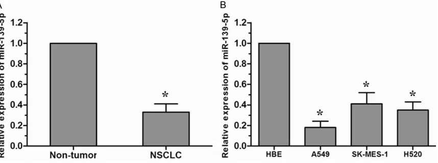 Figure 1. miR-139-5p was down-regulated in NSCLC tissues and cell lines. A. miR-139-5p was decreased in NSCLC tissues compared with the adjacent non-tumor tissues