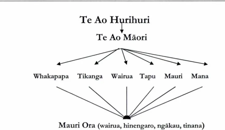 Figure 10 Mauri Ora Model (Ref: Department of Maori Affairs: 2002) 