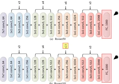 Fig. 8 - Representation Overview of Different Layers of Resnet50 and Resnet101. 