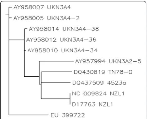 Figure 2 Visualization phosphorylation sites S266 and S267 inTertiary structure of the envelope gene.