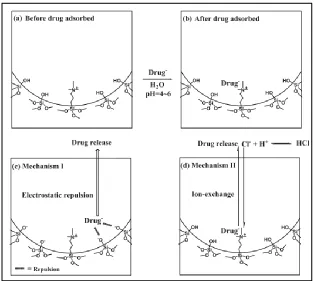 Figure 1.2 A schematic illustration showing the loading and release mechanism of an anionic drug in TA modified MSN (a) Before the drug is adsorbed, (b) after drug adsorption, (c) electrostatic repulsion triggering drug release, and (d) ion-exchange trigge