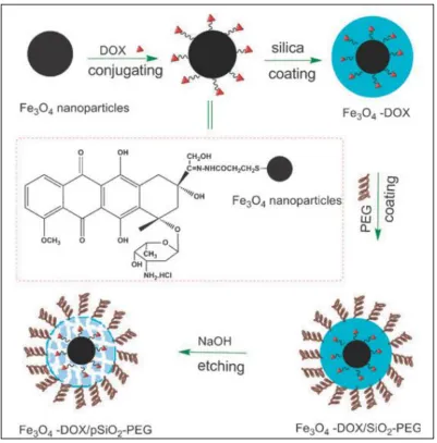 Figure 1.6 The schematic illustration of the synthesis of DOX-associated Fe3O4 nanoparticles coated with a PEG modified porous silica shell