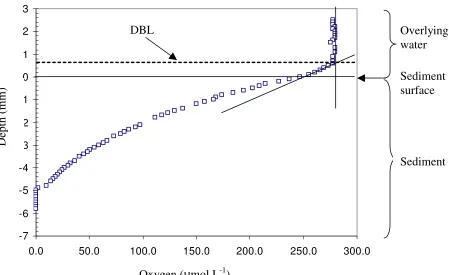 Figure 3-1. A typical O2 microprofile measured during November 2004 at the mid estuary location