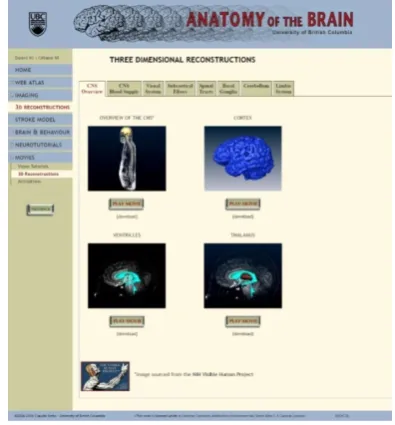 Fig. 2 User interface for Brainy. 