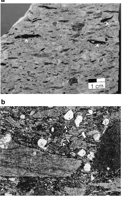 Fig. 1. Owharoa Ignimbrite, Coromandel Volcanic Zone, North Islandof New Zealand. a. Hand sample of welded ignimbrite (UpperLenticulite)