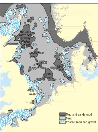 Figure 2.2 Sediment types. Named locations are areas of mud and sandy mud. Source: after Eisma (1981).