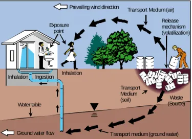 Figure 1:  A Simplified Conceptual Site Model.  Site investigation and  CSM design assess the viability of exposure pathways from 