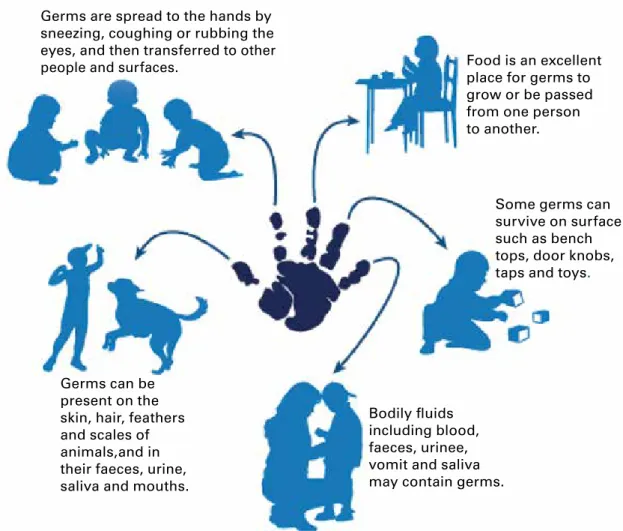 Figure 1.2  The role of hands in the spread of infection