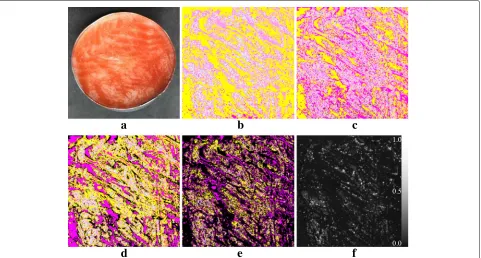 Fig. 5 Replicating the reflective MTFs of the salmon. a The printed object. b–e The four layer images from the bottom to the top