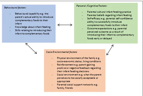 Figure 1. Examples of potential behavioural, personal and socio-environmental factors that could affect a parent’s infant feeding decisions and behaviours