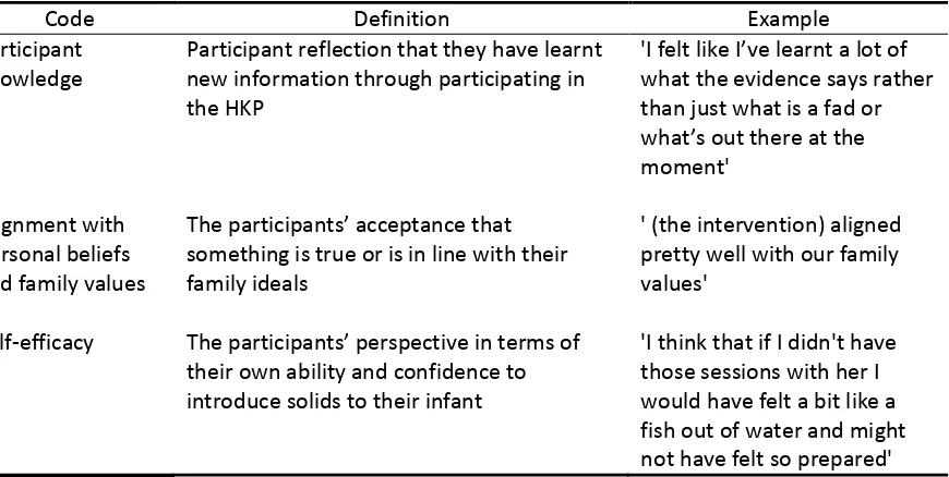 Table 6. Examples of the coding table of sub-themes developed from semi-structured interview data