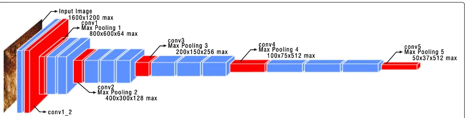 Fig. 2 Features extracted using CNN. The figure summarizes blocks of convolutional layers of VGG-16 as an example of CNN architecture