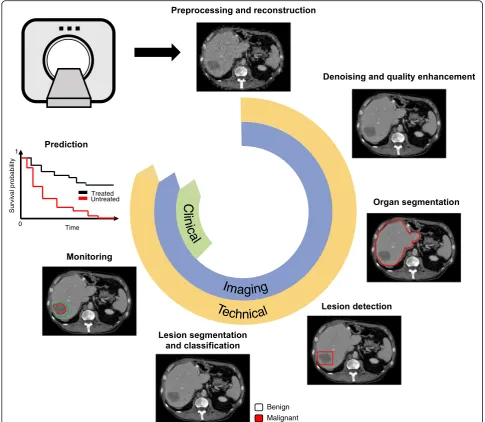 Fig. 1 Potential clinical uses of deep learning techniques. Tasks such as monitoring of treatment response or prediction of survival, can bederived from lesion detection, classification, and longitudinal follow-up