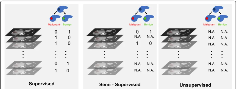 Fig. 4 Types of learning. With supervised learning, the number of inputs (CT images in this example) equals numbers of targets (malignancystatus of a lesion here)