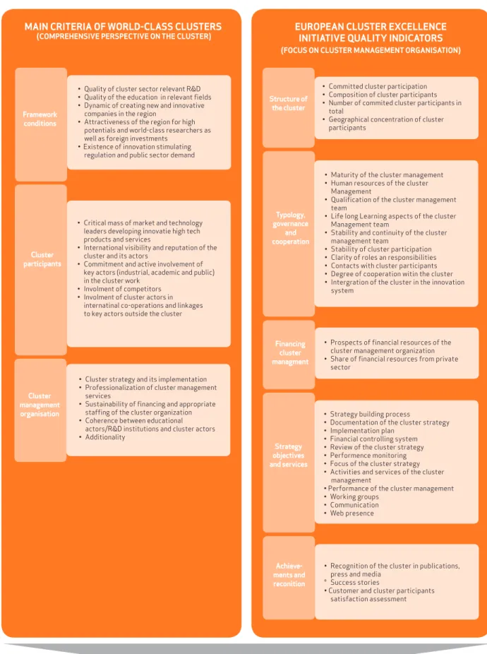Figure 4: Success of a cluster: criteria/indicators for the assessment of the developmental stage of a cluster
