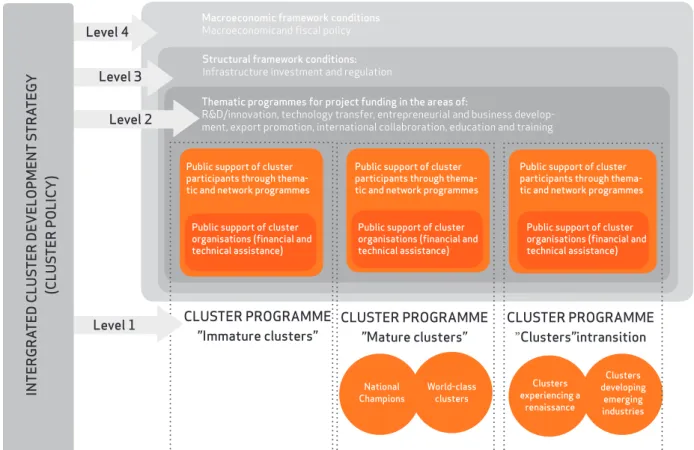 Figure 6: Integrated cluster development strategy: cluster programmes and cluster policy