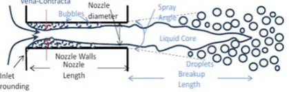 Fig. 1 Transestersfication process [10]. 