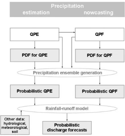 Fig. 3. Radar-based precipitation data.