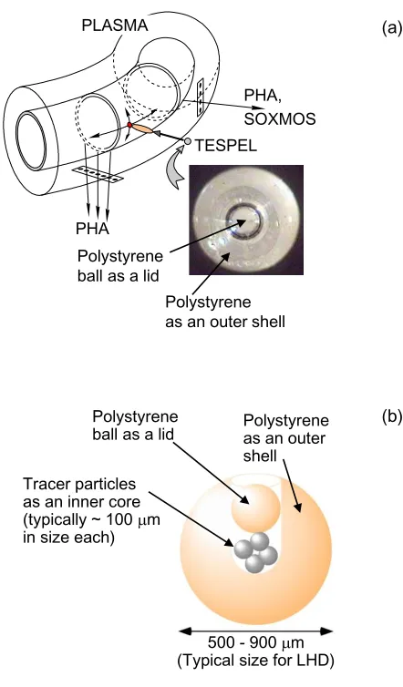 Fig. 1(a) Principle of the TESPEL diagnostics with the real